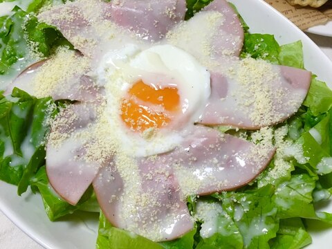 グリーンレタスとレンチン卵のハムシーザーサラダ♡